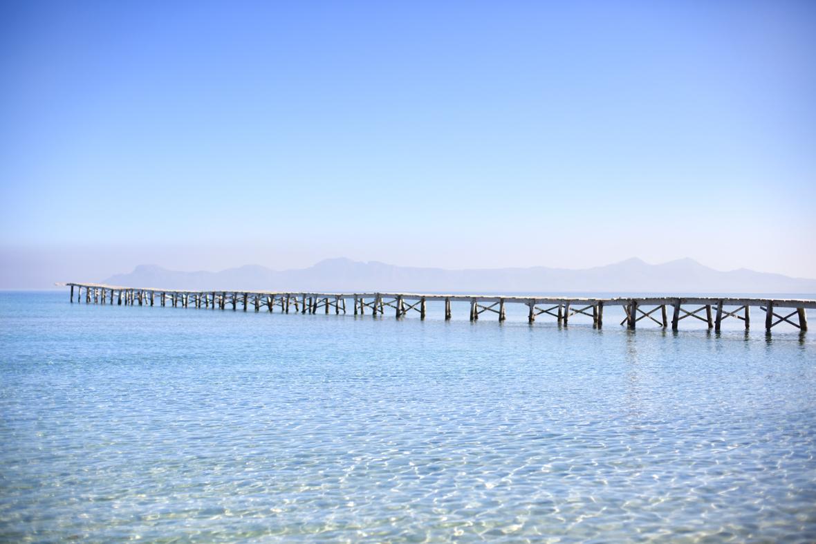 Gaviotas & 4* Playa de Muro (Mallorca)